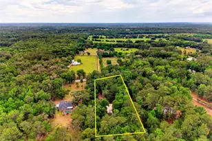 16555 N Hwy 329, Reddick, FL 32686 - Photo 35