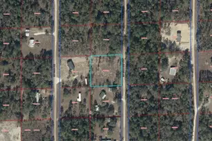 Tbd NE 123rd Ave, Williston, FL 32696 - Photo 1