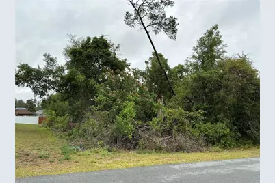 Sw 165th Place, Ocala, FL 34473 - Photo 5