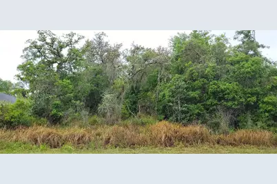 Spruce Road, Ocala, FL 34472 - Photo 1