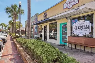 1100 E Caroline St, Tavares, FL 32778 - Photo 25