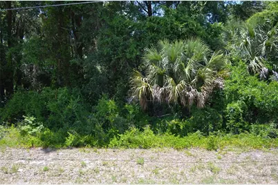 Tbd N US Hwy 301, Citra, FL 32113 - Photo 11