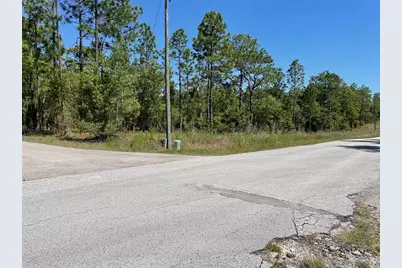 Lot 1 NW Mandrake Drive, Dunnellon, FL 34431 - Photo 1