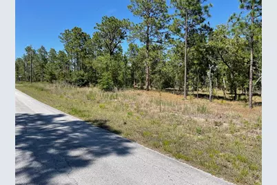 Lot 1 NW Mandrake Drive, Dunnellon, FL 34431 - Photo 5