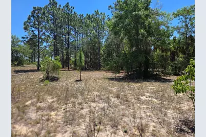 11837 N Captiva Terrace, Dunnellon, FL 34433 - Photo 1