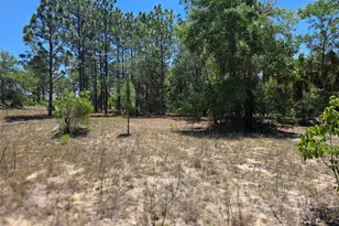 11837 N Captiva Terrace, Dunnellon, FL 34433 - Photo 1