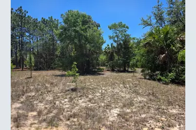 11837 N Captiva Terrace, Dunnellon, FL 34433 - Photo 7