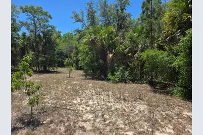 11837 N Captiva Terrace, Dunnellon, FL 34433 - Photo 3