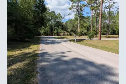202nd Ct, Dunnellon, FL 34431 - Photo 3