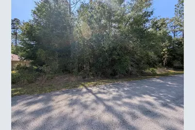 202nd Ct, Dunnellon, FL 34431 - Photo 7