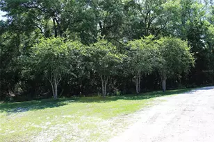 175 E San Jose St, Palatka, FL 32177 - Photo 5