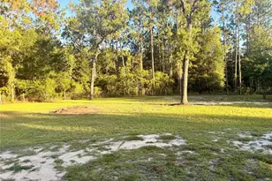 7561 SE 120th Ct, Morriston, FL 32668 - Photo 57