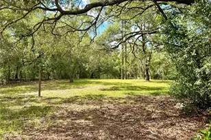 7561 SE 120th Ct, Morriston, FL 32668 - Photo 49