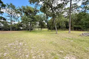 7561 SE 120th Ct, Morriston, FL 32668 - Photo 41