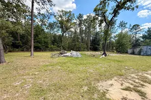 7561 SE 120th Ct, Morriston, FL 32668 - Photo 43
