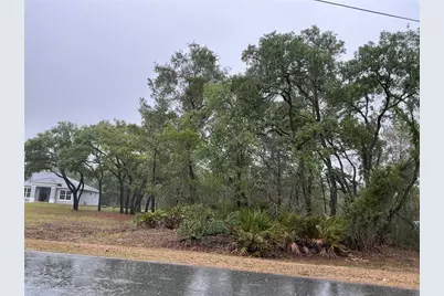 10353 Meadow Wren Avenue, Weeki Wachee, FL 34613 - Photo 3