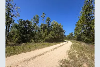 0 SW 56th Lane, Ocala, FL 34481 - Photo 5