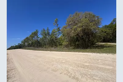 0 SW 56th Lane, Ocala, FL 34481 - Photo 3
