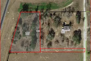 7031 S Gordon Point, Homosassa, FL 34446 - Photo 1
