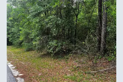 Tbd SW 186th Ct., Dunnellon, FL 34432 - Photo 9