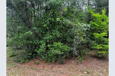 Tbd SW 186th Ct., Dunnellon, FL 34432 - Photo 3