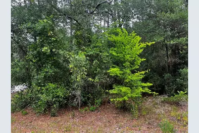 Tbd SW 186th Ct., Dunnellon, FL 34432 - Photo 5