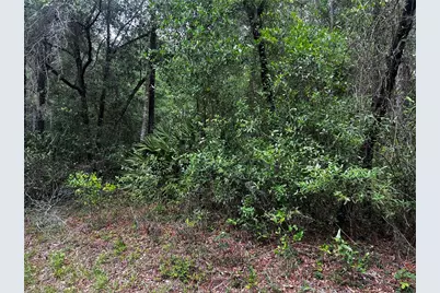 Tbd SW 186th Ct., Dunnellon, FL 34432 - Photo 1