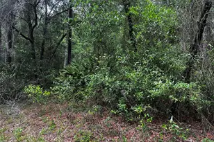Tbd SW 186th Ct, Dunnellon, FL 34432 - Photo 1