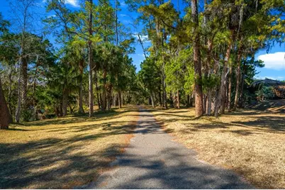 3273 NE 102nd Avenue Road, Silver Springs, FL 34488 - Photo 67