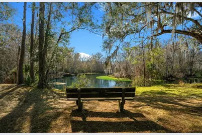 3273 NE 102nd Avenue Road, Silver Springs, FL 34488 - Photo 63