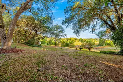 16789 SE 69th Lane, Ocklawaha, FL 32179 - Photo 43