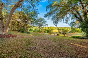16789 SE 69 Ln, Ocklawaha, FL 32179 - Photo 43