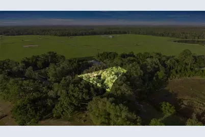 16789 SE 69th Lane, Ocklawaha, FL 32179 - Photo 11