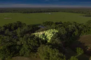 16789 SE 69 Ln, Ocklawaha, FL 32179 - Photo 11