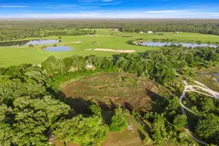 16789 SE 69 Ln, Ocklawaha, FL 32179 - Photo 49