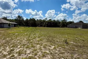 Tbd NE 64 Ave, Silver Springs, FL 34488 - Photo 1