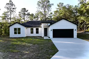 1133 W Nankeen Dr, Dunnellon, FL 34434 - Photo 1