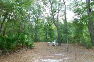 7808 W Drover St, Homosassa, FL 34446 - Photo 21