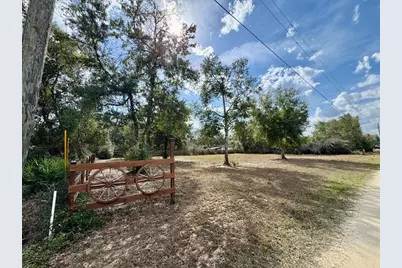 Ne 135th Street, Salt Springs, FL 32134 - Photo 5