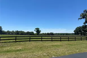 11145 NW 17th Court Rd, Ocala, FL 34475 - Photo 9