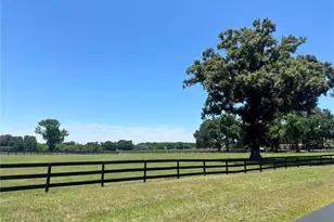11145 NW 17th Court Rd, Ocala, FL 34475 - Photo 59