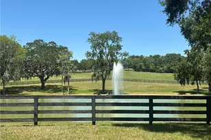 11145 NW 17th Court Rd, Ocala, FL 34475 - Photo 3