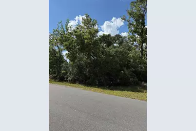 Tbd Oak Pass Run, Ocala, FL 34472 - Photo 5