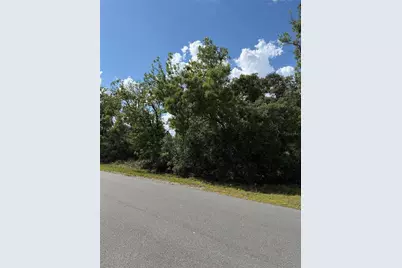 Tbd Oak Pass Run, Ocala, FL 34472 - Photo 9