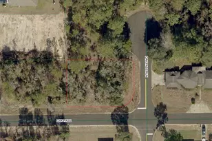 Tbd Oak Pass Run, Ocala, FL 34472 - Photo 1