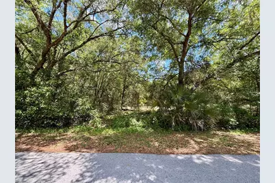 Lot 15 SW Shorewood Drive, Dunnellon, FL 34431 - Photo 1