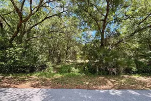 Lot 15 SW Shorewood Dr, Dunnellon, FL 34431 - Photo 1