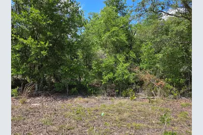 0000 NE 73rd Lane, Bronson, FL 32621 - Photo 3