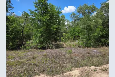 0000 NE 73rd Lane, Bronson, FL 32621 - Photo 5