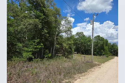 0000 NE 73rd Lane, Bronson, FL 32621 - Photo 7